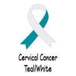 Cervical Cancer $0.00