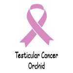 Testicular Cancer $0.00